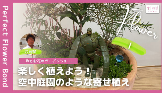 石川潤 |【Lesson01】空中庭園のような寄せ植え1