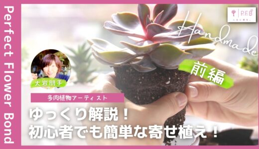 大岩朋子 |【LESSON01】初めての多肉植物の寄せ植え〜前編〜